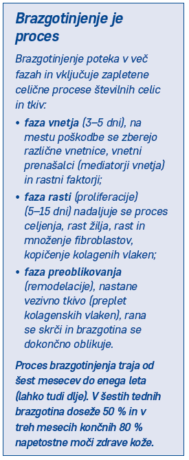 Brazgotinjenje je proces, ki poteka v več fazah in vključuje zapletne celične procese številnih ceic in tkiv. sestavljajo ga : - faza vnetja, - faza rasti, - faza preoblikovanja. Prces brazgotinjenja traja od šest mesecev do enega leta. V šestih tednih brazgotina doseže 50% in v treh mesecih končnih 80% naptostne moči zdrave kože.