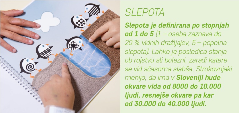 SLEPOTA je definirana po stopnjah 1 do 5 (1 - oseba zaznava do 20%vidnih dražljajev, 5 - popolna slepota).Lahko je posledica stanja ob rojstvu ali bolezni, zaradi katere se vid sčasoma slabša. Strokovnjaki menijo, da ima v Sloveniji hude okvar vida od 8000 do 10.000 ljudi, resnejše okvare pa kar od 30.000 do 40.000 ljudi.