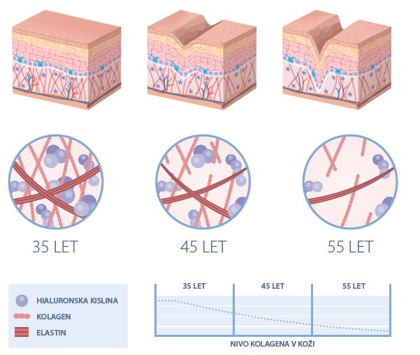 Nivo kolagena v koži v poznem življenskem obdobju