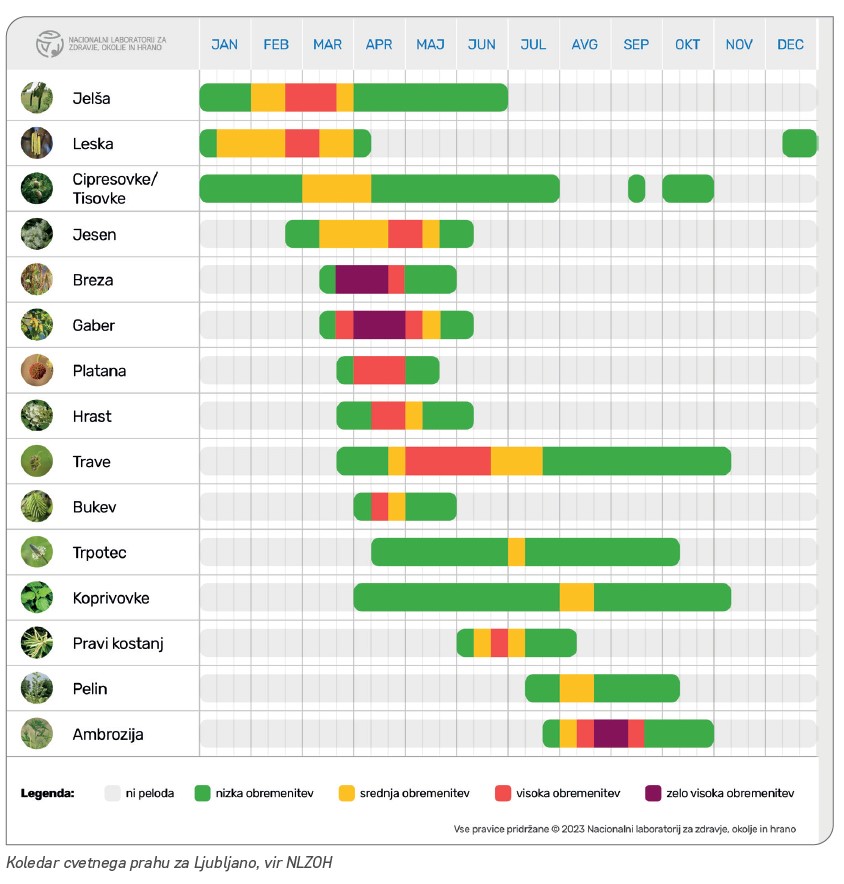 Koledar cvetnega prahu za Ljubljano, vir NLZOH