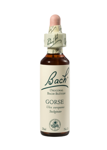 Bach Gorse, kapljice št. 13 - navadni uleks, 20 ml Bach Gorse, kapljice št. 13 - navadni uleks, 20 ml