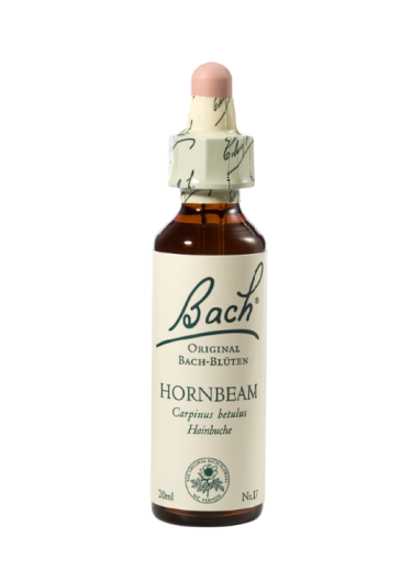 Bach Hornbeam, kapljice št. 17 - gaber, 20 ml Bach Hornbeam, kapljice št. 17 - gaber, 20 ml