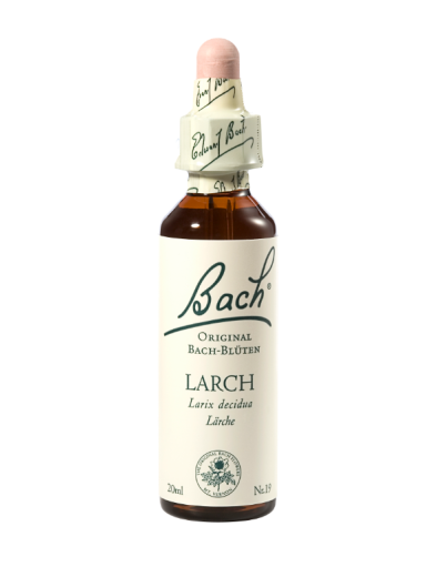 Bach Larch, kapljice št. 19 - macesen, 20 ml Bach Larch, kapljice št. 19 - macesen, 20 ml
