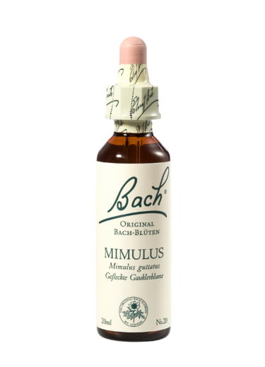 Bach Mimulus, kapljice št. 20 - krinkar, 20 ml Bach Mimulus, kapljice št. 20 - krinkar, 20 ml