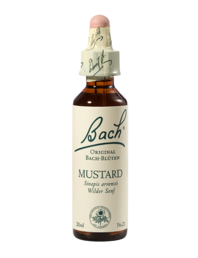 Bach Mustard, kapljice št. 21 - njivska gorjušica, 20 ml Bach Mustard, kapljice št. 21 - njivska gorjušica, 20 ml