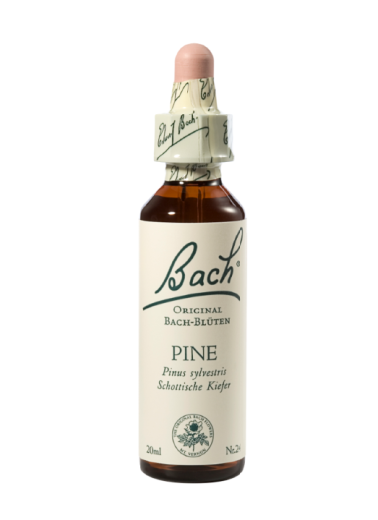 Bach Pine, kapljice št. 24 - bor, 20 ml Bach Pine, kapljice št. 24 - bor, 20 ml