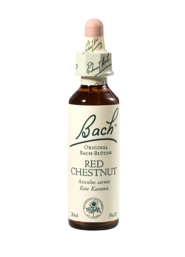 Bach Red Chestnut, kapljice št. 25 - divji kostanj z rdečimi cvetovi, 20 ml Bach Red Chestnut, kapljice št. 25 - divji kostanj z rdečimi cvetovi, 20 ml