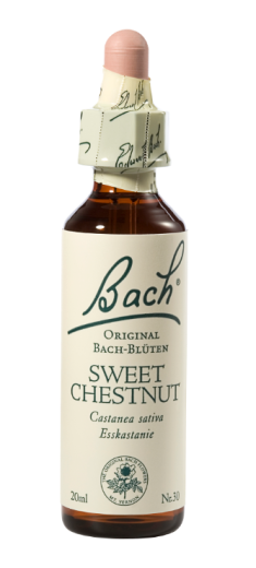 Bach Sweet Chestnut, kapljice št. 30 - pravi kostanj, 20 ml Bach Sweet Chestnut, kapljice št. 30 - pravi kostanj, 20 ml