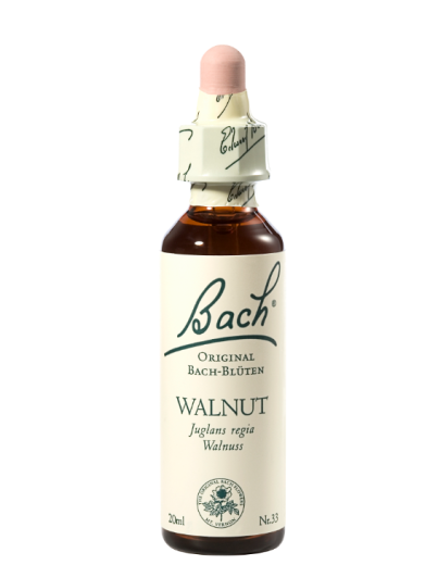 Bach Walnut, kapljice št. 33 - oreh, 20 ml Bach Walnut, kapljice št. 33 - oreh, 20 ml