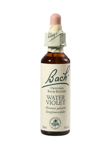 Bach Water Violet, kapljice št. 34 - vodna vijolica, 20 ml Bach Water Violet, kapljice št. 34 - vodna vijolica, 20 ml