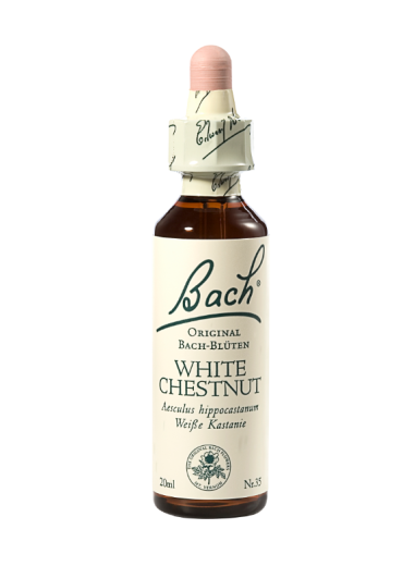 Bach White Chestnut, kapljice št. 35 - divji kostanj z belimi cvetovi, 20 ml Bach White Chestnut, kapljice št. 35 - divji kostanj z belimi cvetovi, 20 ml