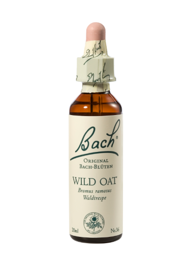 Bach Wild Oat, kapljice št. 36 - divji oves, 20 ml Bach Wild Oat, kapljice št. 36 - divji oves, 20 ml