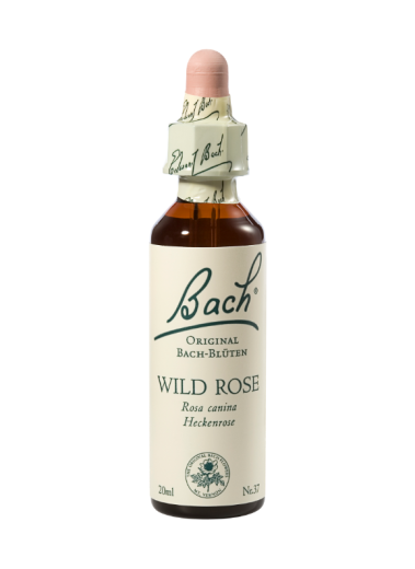 Bach Wild Rose, kapljice št. 37 - šipek, 20 ml Bach Wild Rose, kapljice št. 37 - šipek, 20 ml