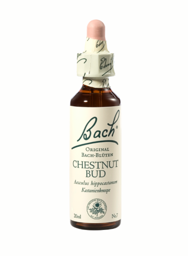 Bach Chestnut Bud, kapljice št. 7 - popek divjega kostanja, 20 ml Bach Chestnut Bud, kapljice št. 7 - popek divjega kostanja, 20 ml