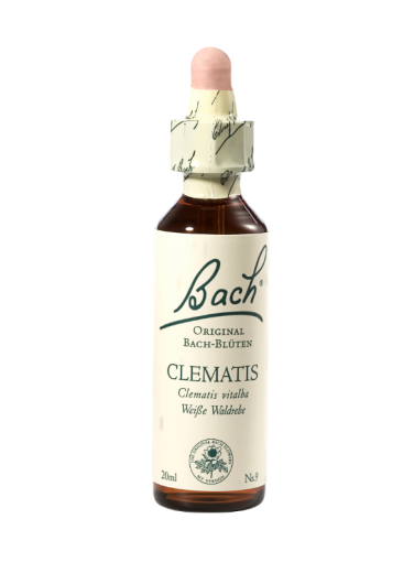 Bach Clematis, kapljice št. 9 - srobot, 20 ml Bach Clematis, kapljice št. 9 - srobot, 20 ml