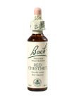 Bach Red Chestnut, kapljice št. 25 - divji kostanj z rdečimi cvetovi, 20 ml