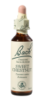 Bach Sweet Chestnut, kapljice št. 30 - pravi kostanj, 20 ml