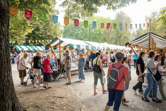 Festival zdravja