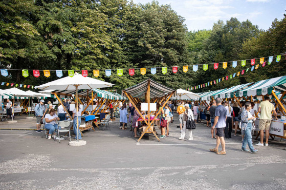 Festival zdravja