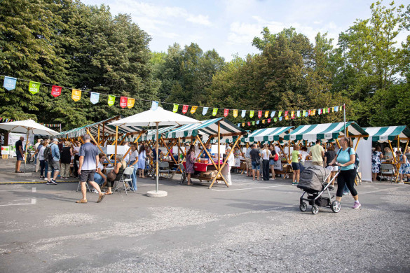 Festival zdravja