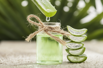 Aloe vera Aloe vera