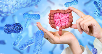 Vloga probiotikov, prebiotikov  in prebavnih encimom