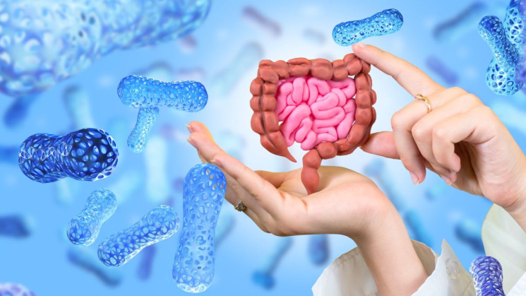 Vloga probiotikov, prebiotikov  in prebavnih encimom