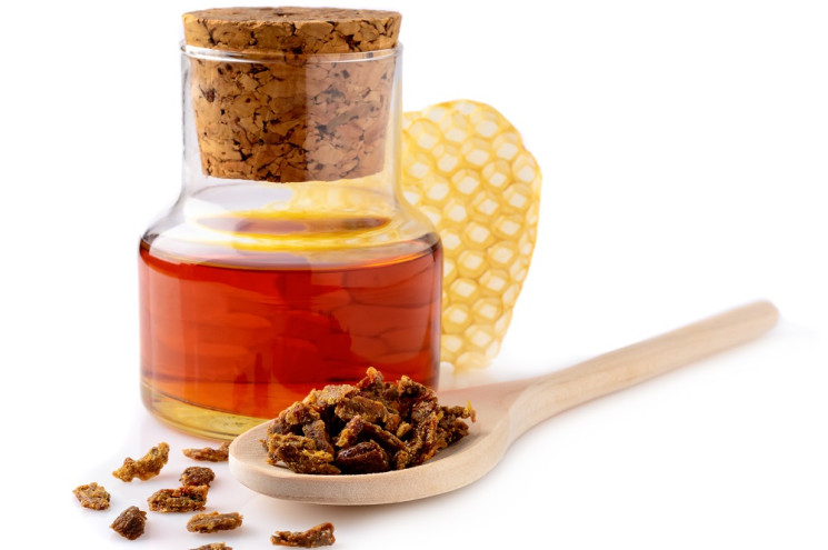 Propolis in matični mleček